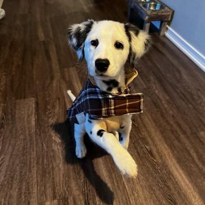 Alternative view of Ruby