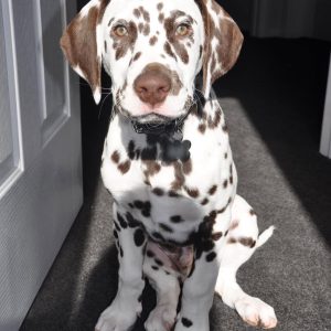 Alternative view of Randy